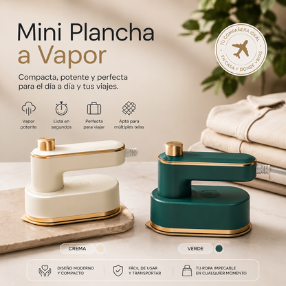 Mini Plancha A Vapor